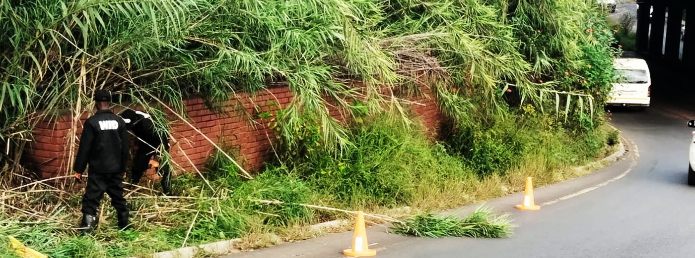 Environmental and Beautification